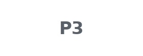 P3