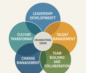 Organizational development Consulting